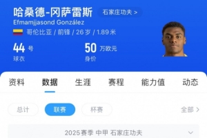 石家庄功夫外援谈胡靖:对手被救助苏醒,这比比赛更为重要 石家庄功夫外援谈胡靖:对手被救助苏醒,这比比赛更为重要