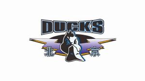 北京男篮将参加江西吉安四国冠军赛 过招美国&澳洲&西班牙球队 北京男篮将参加江西吉安四国冠军赛 过招美国&澳洲&西班牙球队