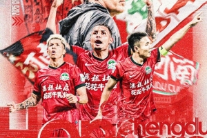 足协杯 成都蓉城VS河南 8月19日19:35 五粮液文化体育中心足球场 足协杯 成都蓉城VS河南 8月19日19:35 五粮液文化体育中心足球场