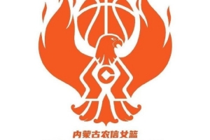 媒体人:内蒙古女篮连缺两项比赛 业内甚至有传闻说她们可能解散 媒体人:内蒙古女篮连缺两项比赛 业内甚至有传闻说她们可能解散