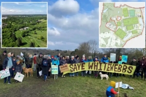 秃鹫资本家!太阳报:热刺在古树林建基地遭抗议,民众威胁退会员 秃鹫资本家!太阳报:热刺在古树林建基地遭抗议,民众威胁退会员