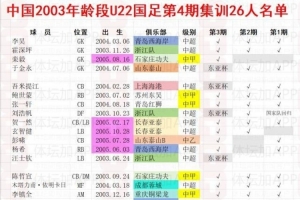 马德兴谈U22人员结构:基本03、05年龄段各半,为下届提前准备 马德兴谈U22人员结构:基本03、05年龄段各半,为下届提前准备