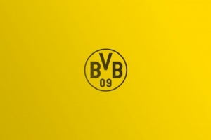 多特欧冠注册25人名单:小贝林厄姆领衔,聚勒&施洛特贝克在列 多特欧冠注册25人名单:小贝林厄姆领衔,聚勒&施洛特贝克在列