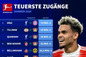 德甲今夏引援榜：迪亚斯7000万断崖领跑，蒂尔曼&宽萨领衔药厂5将