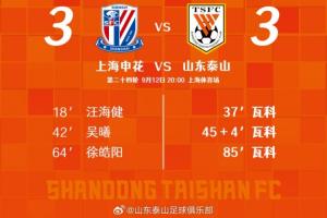 虽然我们没有在上海带走胜利,但是充分展示了什么是泰山队精神! 虽然我们没有在上海带走胜利,但是充分展示了什么是泰山队精神!