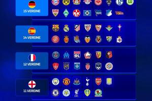 欧冠改制后五大联赛参赛排行:德甲15队居首,英超、意甲11队最少 欧冠改制后五大联赛参赛排行:德甲15队居首,英超、意甲11队最少