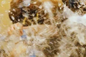 成功拿下总冠军后,大家在更衣室用一场特别的狂欢庆祝荣耀时刻! 成功拿下总冠军后,大家在更衣室用一场特别的狂欢庆祝荣耀时刻!