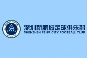 关于深圳新鹏城主场比赛调整及票务处理办法的公告 关于深圳新鹏城主场比赛调整及票务处理办法的公告