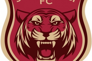 嘉定汇龙官方：截至上轮，足协评议共三次漏判给本队点球 ​​​