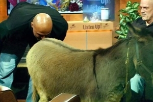 杨毅:巴克利说姚明19分他就亲驴屁股 后者说那他每场18分就好了 杨毅:巴克利说姚明19分他就亲驴屁股 后者说那他每场18分就好了