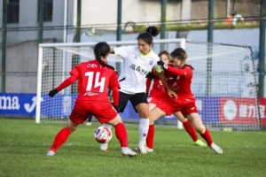 广西平果呗侬女足提前一轮夺得女甲冠军,成广西历史首支女超队伍 广西平果呗侬女足提前一轮夺得女甲冠军,成广西历史首支女超队伍