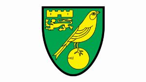 福利多多!诺维奇宣布招聘财务会计师,要求积极主动、善于分析 福利多多!诺维奇宣布招聘财务会计师,要求积极主动、善于分析