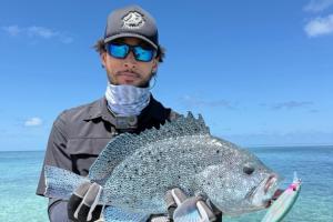 37岁大龄中锋小乔丹再就业 29岁的本-西蒙斯还在失业中…… 37岁大龄中锋小乔丹再就业 29岁的本-西蒙斯还在失业中……