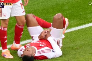 “小加布”痛不欲生😂加布高高跃起后落地，下体重重撞上立柱