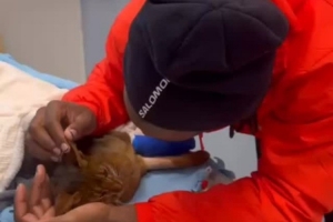 巴舒亚伊深情告别因车祸离世的爱猫:安息吧,我的儿子 巴舒亚伊深情告别因车祸离世的爱猫:安息吧,我的儿子