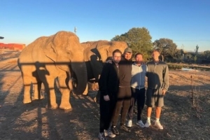 近距离接触,赫伊森社媒晒去动物园看大象的照片 近距离接触,赫伊森社媒晒去动物园看大象的照片