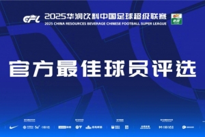 中超官方第28轮最佳候选:瓦科、萨里奇、恩里克、戴维森、亚戈 中超官方第28轮最佳候选:瓦科、萨里奇、恩里克、戴维森、亚戈