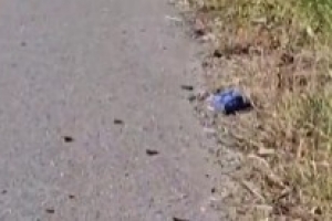 现场视频!国米二门马丁内斯车祸撞死老人,现场散落汽车碎片 现场视频!国米二门马丁内斯车祸撞死老人,现场散落汽车碎片