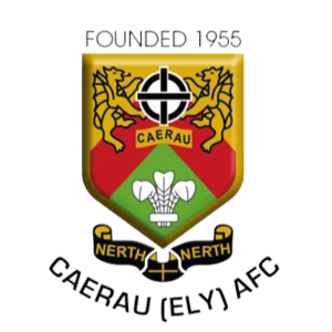 卡迪夫龙人 卡迪夫龙人