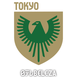 野岛斯特拉女足