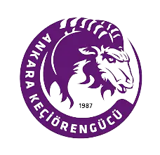 伊斯坦布尔体育